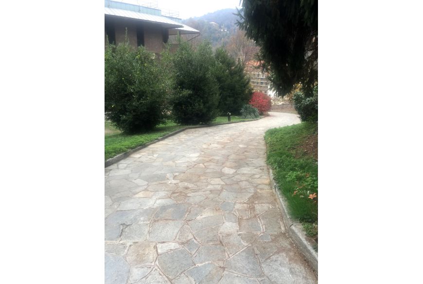 Jolly Grigia