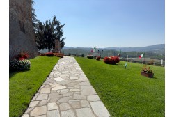 Jolly Grigia